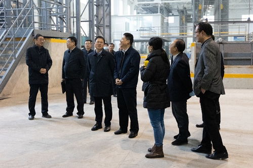 強強聯合，共謀能源科技創新 國家能源集團科學技術研究院楊宏強董事長一行到訪交流