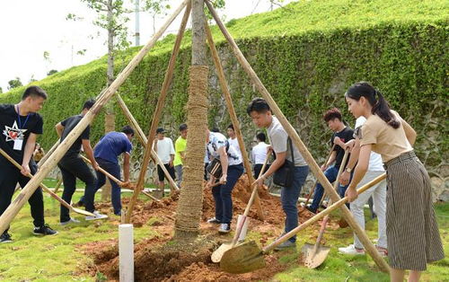十年樹木，百年樹人——2017屆畢業(yè)生種植紀(jì)念樹活動圓滿舉行